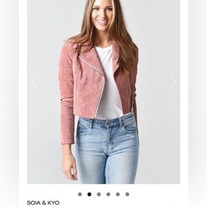 Soia & Kyo Elaine Suede Moto Jacket XS Rosewater